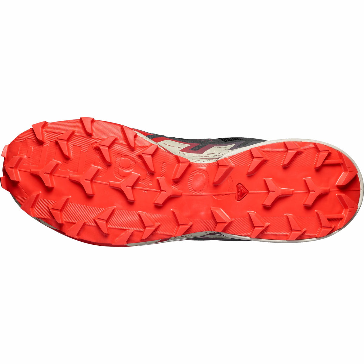 Salomon SPEEDCROSS 6 Trail running shoes - Men