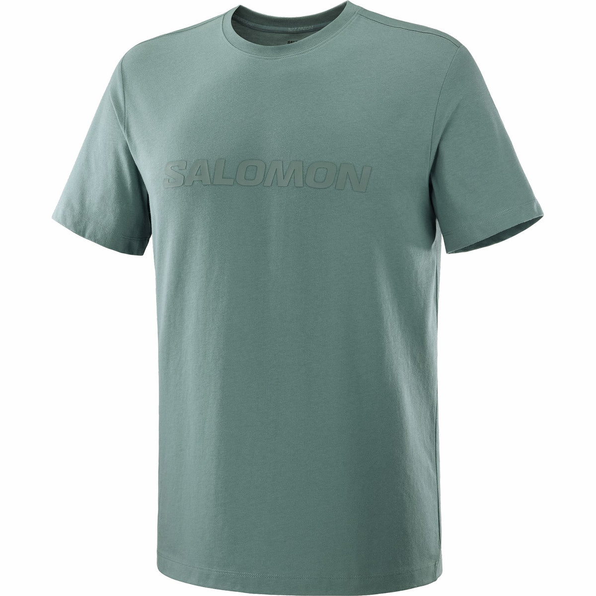 Salomon SALOMON LOGO Men's Short Sleeve T-Shirt