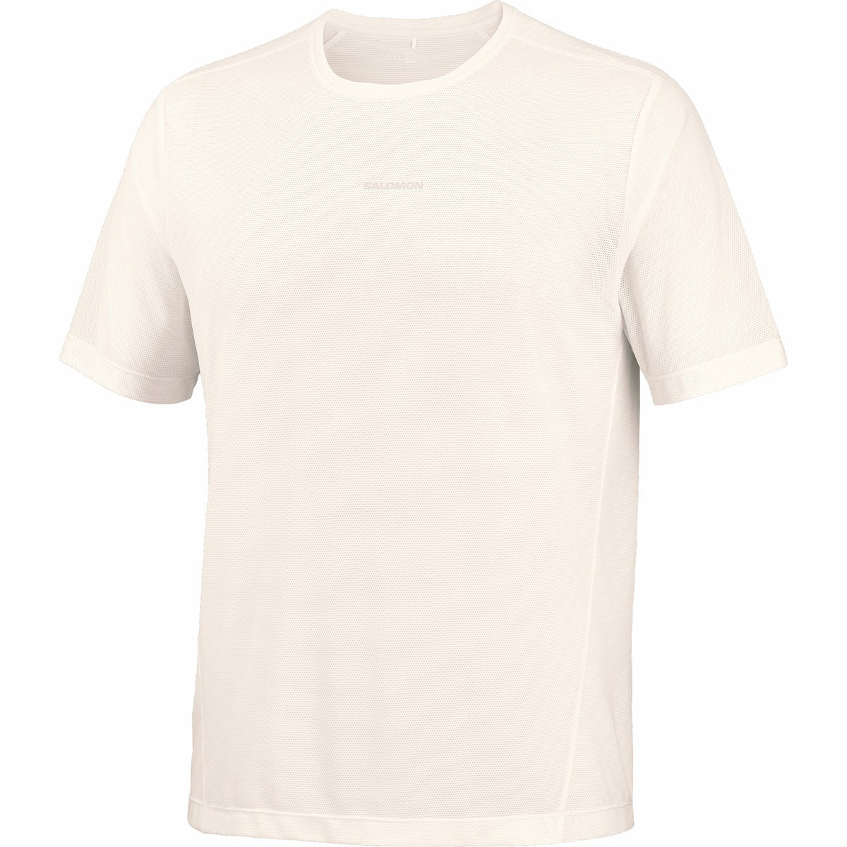 Salomon SHAKEout CORE GRAPHIC Men's Short Sleeve T-Shirt