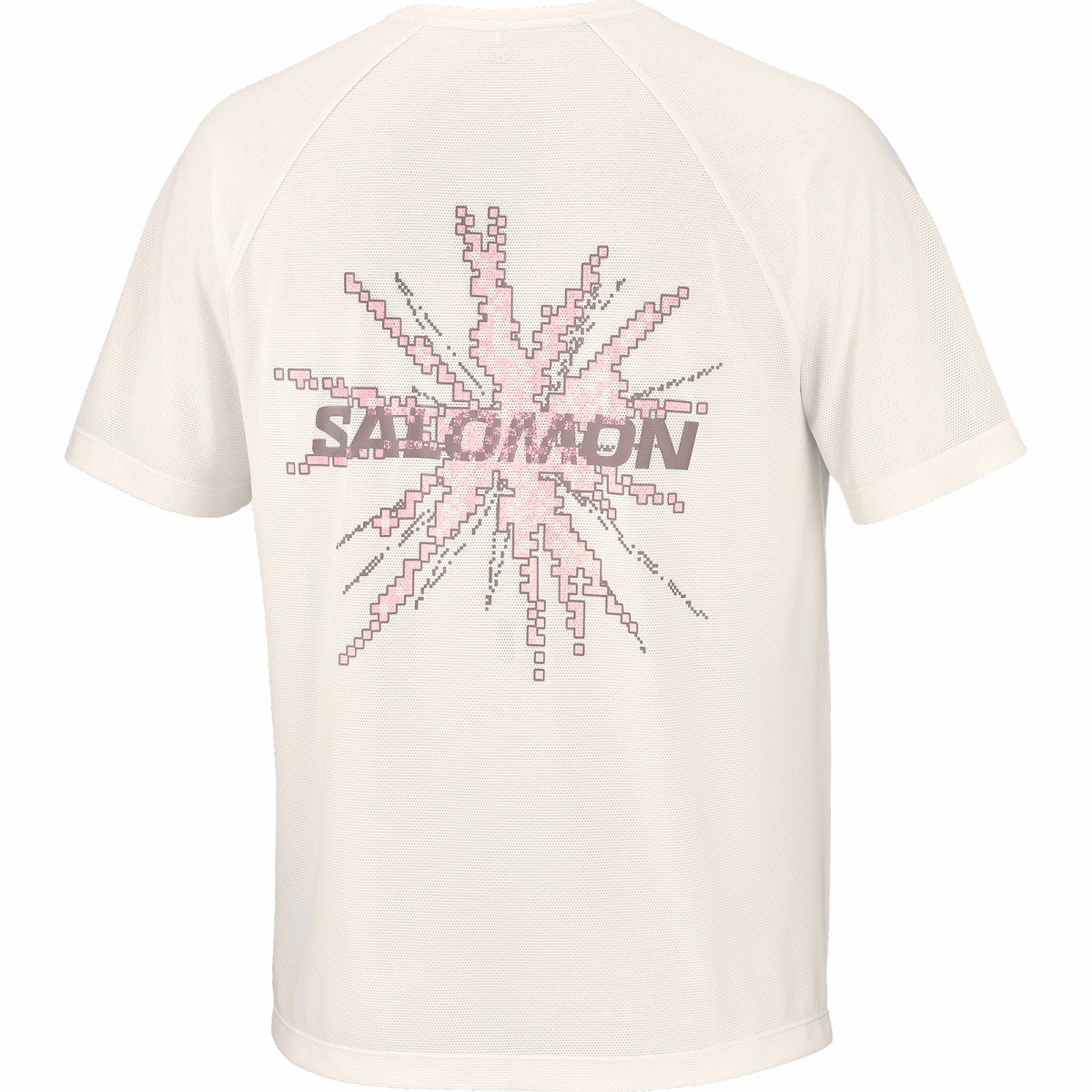 Salomon SHAKEout CORE GRAPHIC Men's Short Sleeve T-Shirt