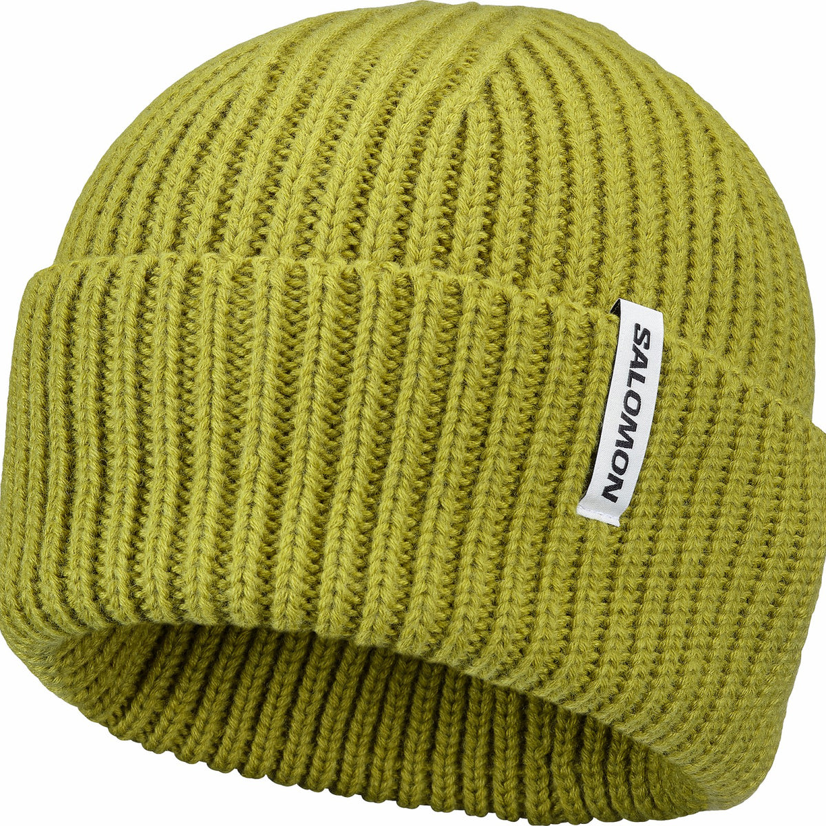 Salomon SNOWBIRD Unisex Beanie