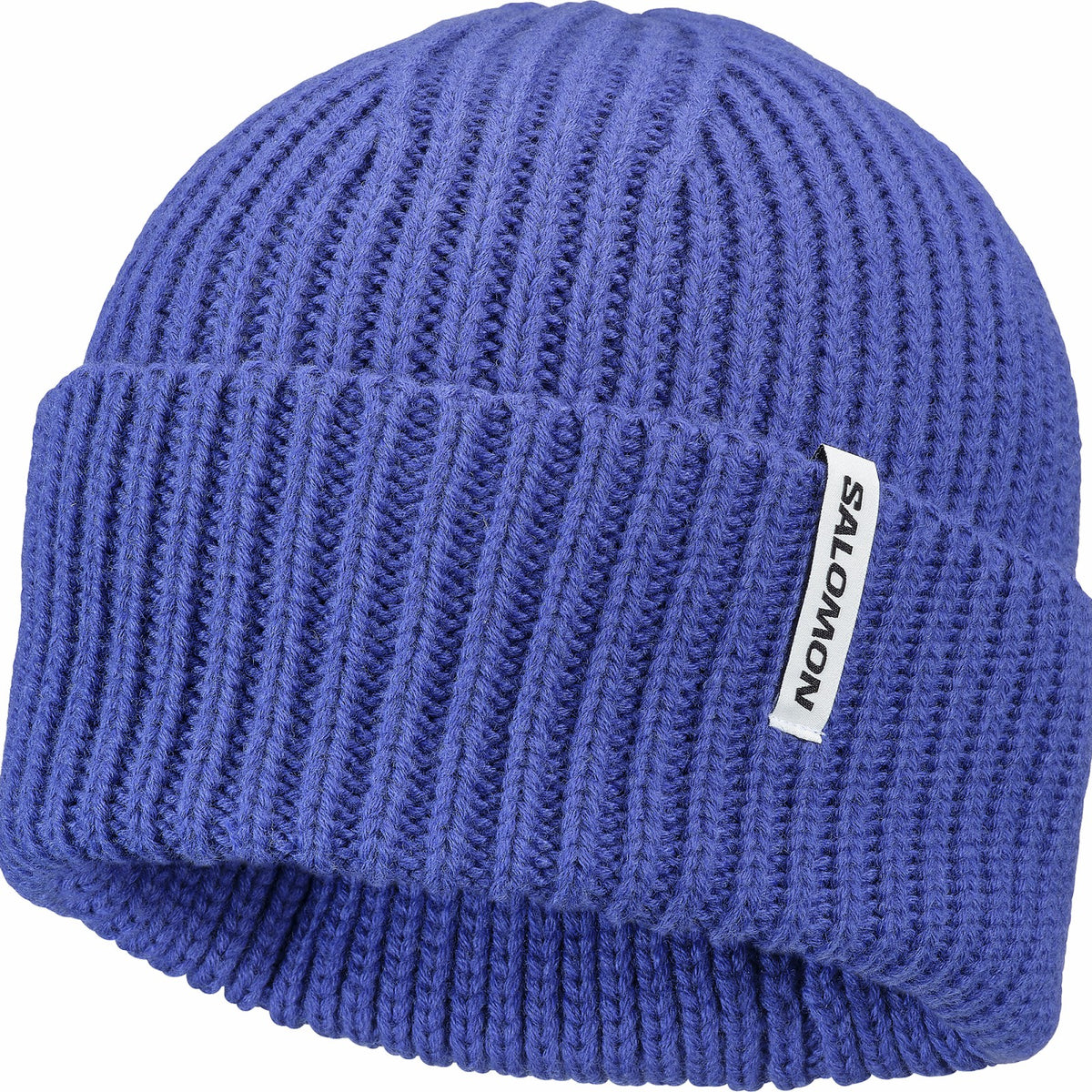 Salomon SNOWBIRD Unisex Beanie