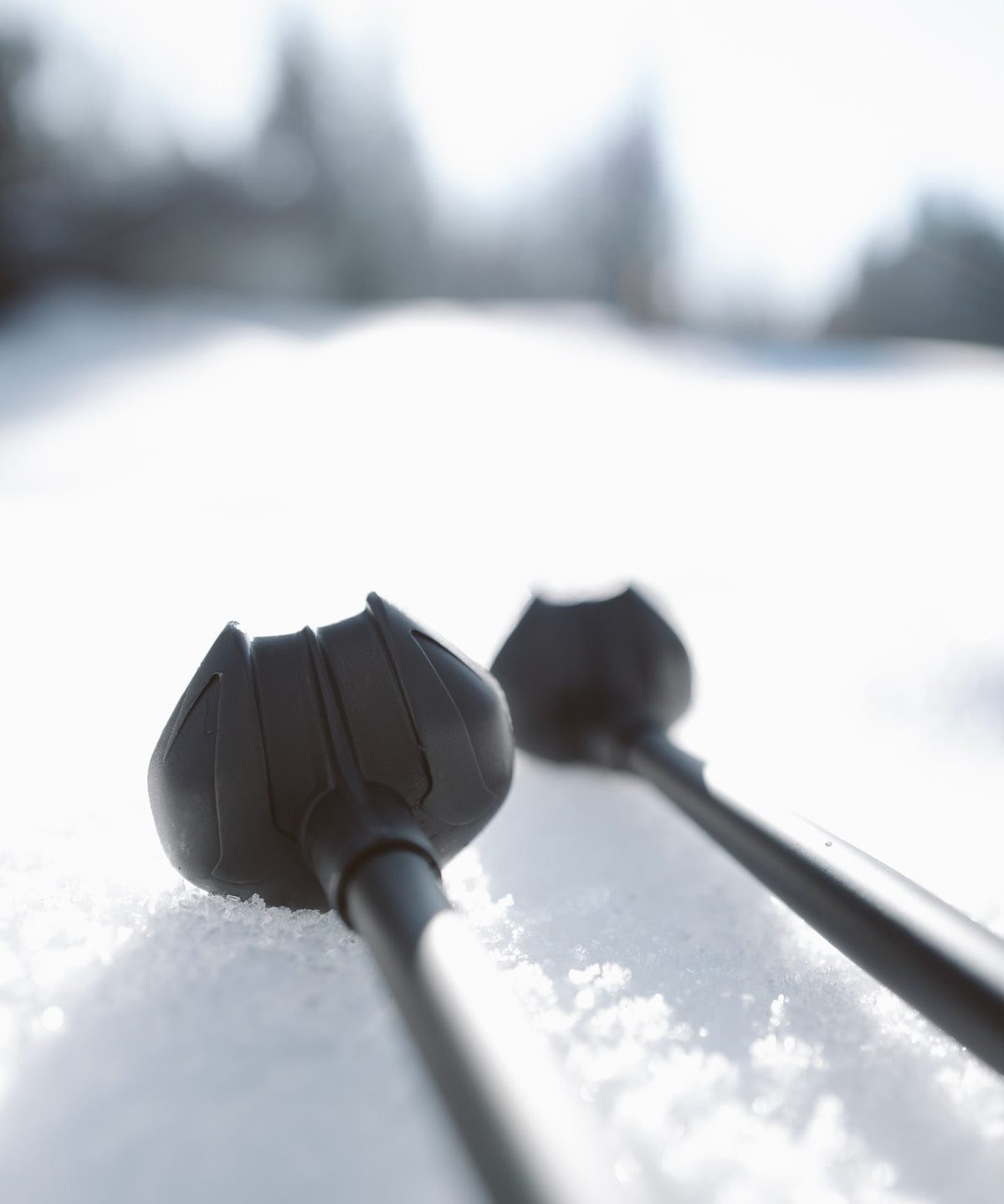 Salomon S/MAX CARBON CLICK Nordic poles - Unisex