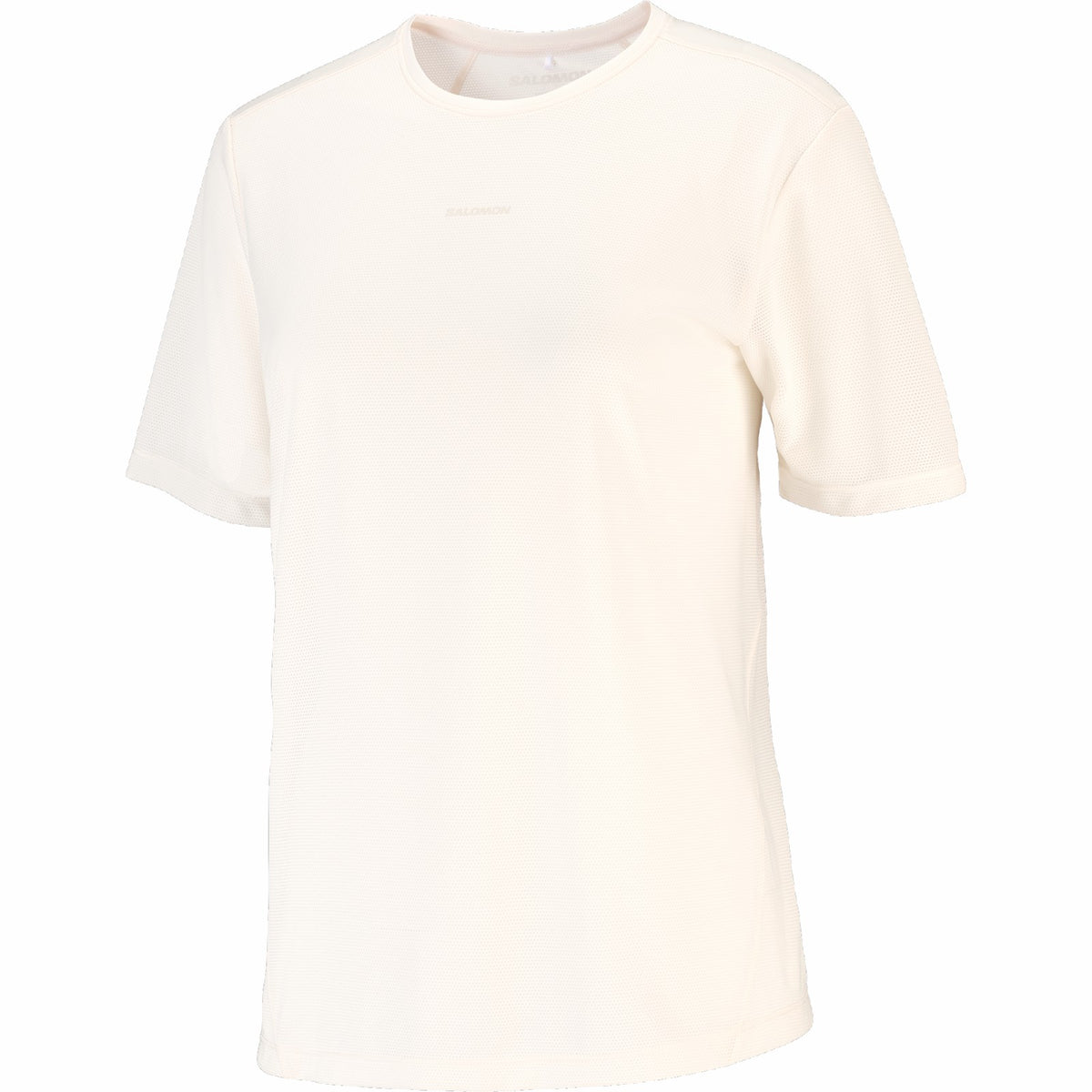 Salomon SHAKEout CORE GRAPHIC Women's Short Sleeve T-Shirt