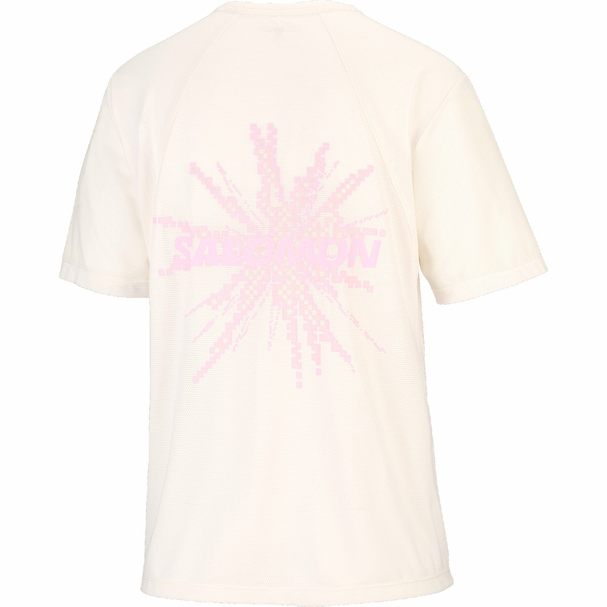 Salomon SHAKEout CORE GRAPHIC Women's Short Sleeve T-Shirt